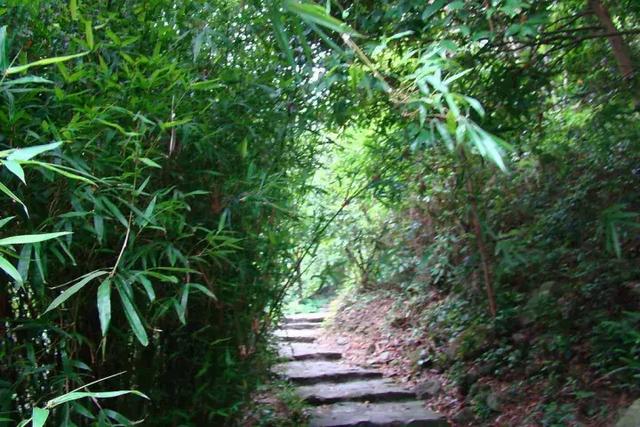 从前车马慢，今日宋家湾