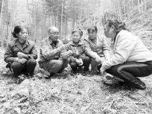 红托竹荪高产种植技术(“竹荪大王”高允旺：云推广竹荪栽培致富经)