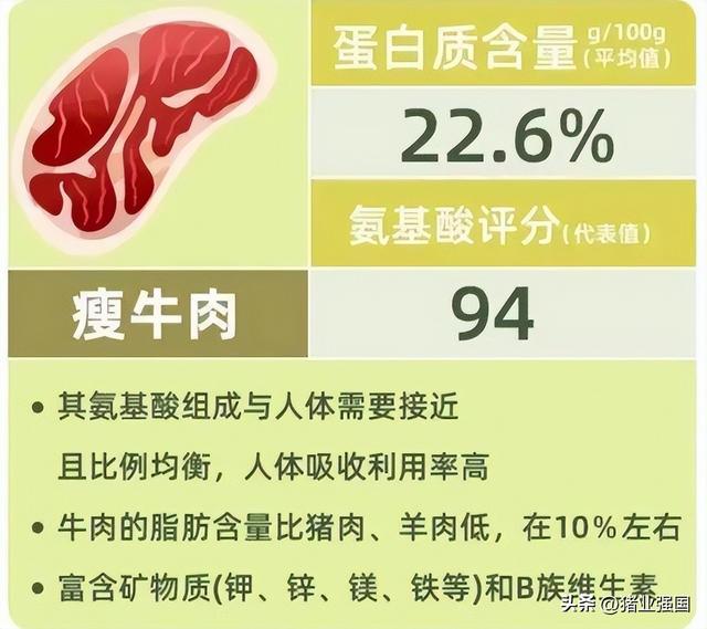 吃牛羊肉提升免疫力！广东八大牛羊肉美食喊您品尝