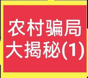 土元养殖骗局(农村骗局大揭秘(1))