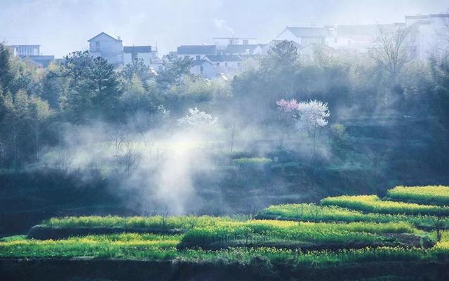 印象黄陂：春已归来