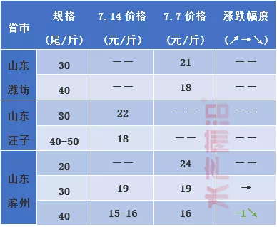 叒叕跌！白便暴发，6成虾塘排掉！养殖户：7月虾价掉入“无底洞”