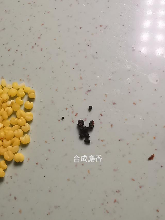 麝香直接闻起来是什么味道？