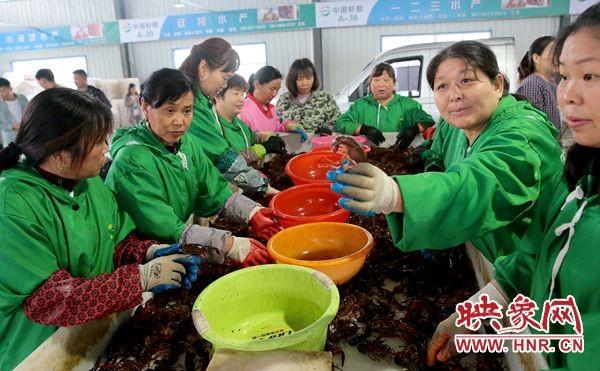 大别山的春天⑤：从花木之乡到中国虾都 潢川乡村振兴的产业培植新格局