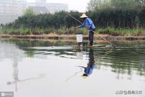 水产养殖肥料(水产养殖技术之鱼塘施肥有讲究)