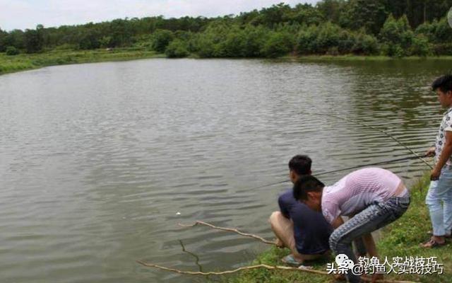 “活虾钓鱼法”需要这样挂钩，学会这一招，从“空军”轻松爆护