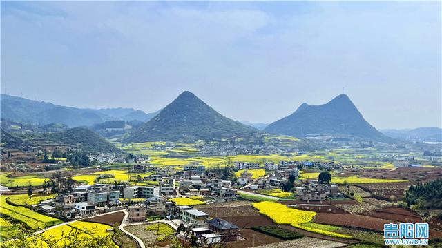 “一地”生“五金” 山村气象新——清镇市犀牛村探索乡村振兴新路调查报告之产业篇