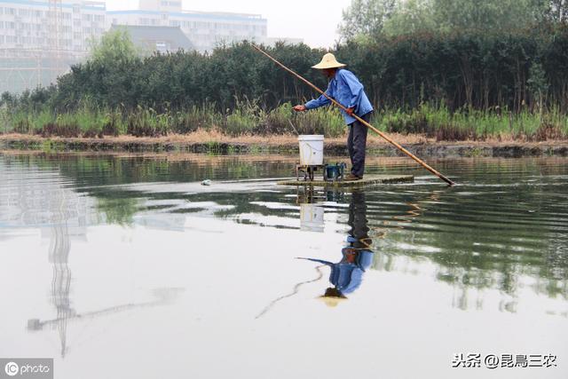 水产养殖技术之鱼塘施肥有讲究