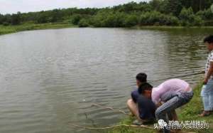 钩虾的养殖(“活虾钓鱼法”需要这样挂钩，学会这一招，从“空军”轻松爆护)