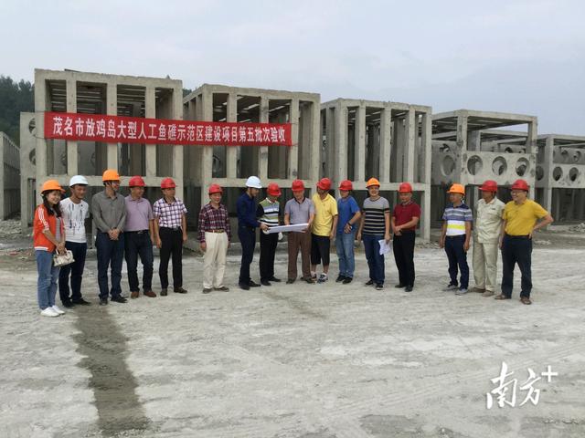 茂名建成4个人工鱼礁礁区，海洋牧场建设提速｜耕海牧渔 迈向深蓝