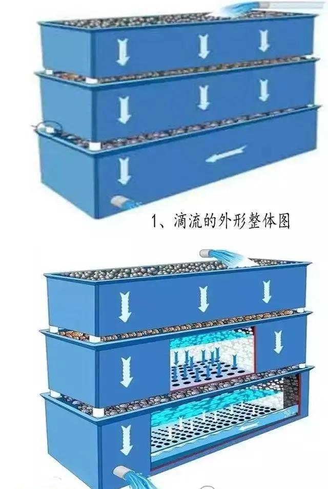 如果你也想建池，建议点进来看看