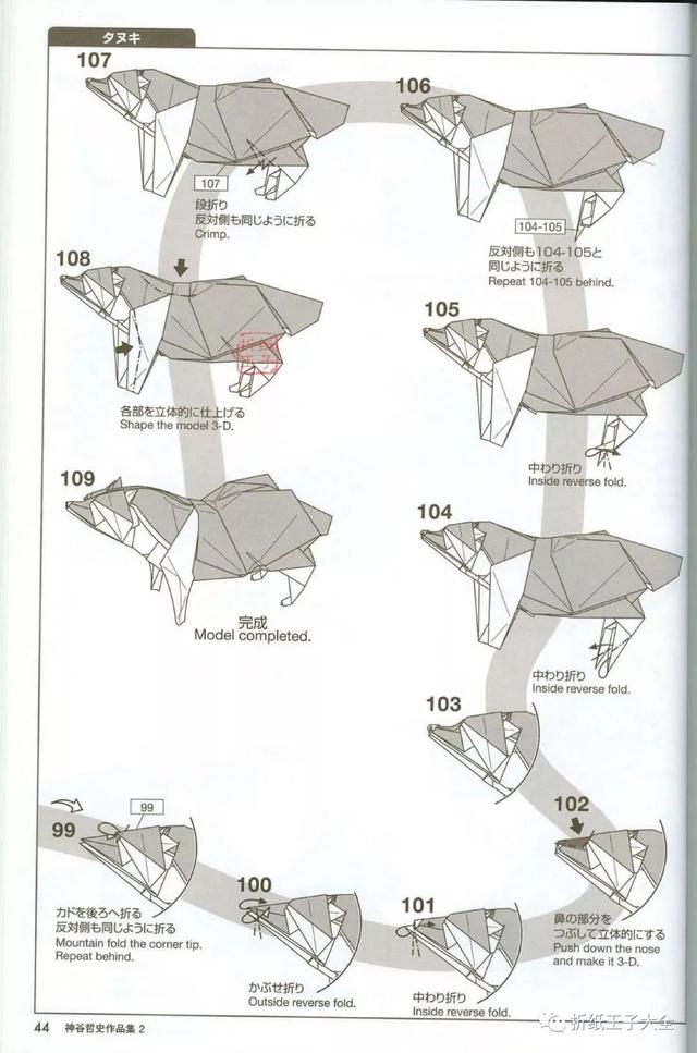 神谷哲史的浣熊狗折纸图解，狸、貉、タヌキ、raccoon dog，100多步
