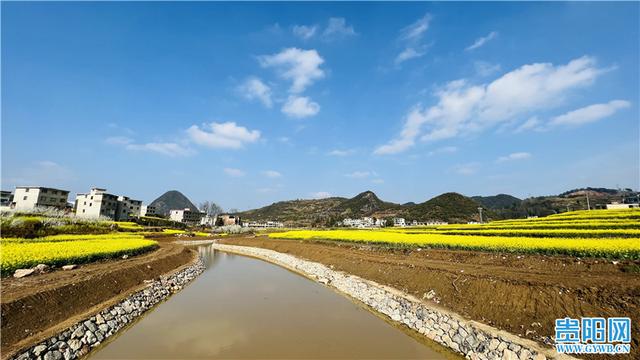 “一地”生“五金” 山村气象新——清镇市犀牛村探索乡村振兴新路调查报告之产业篇