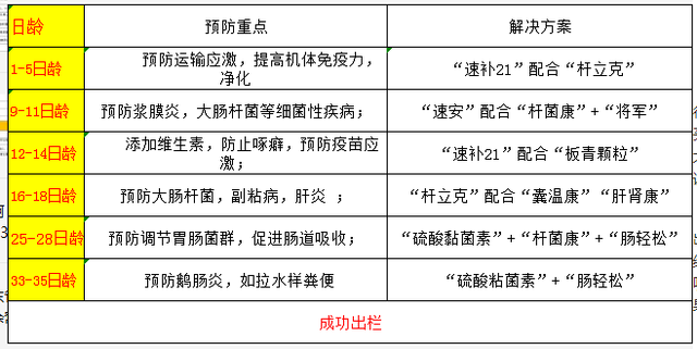 鸭子的饲养：养鸭子原来有这么多风险，这些您注意到了吗？