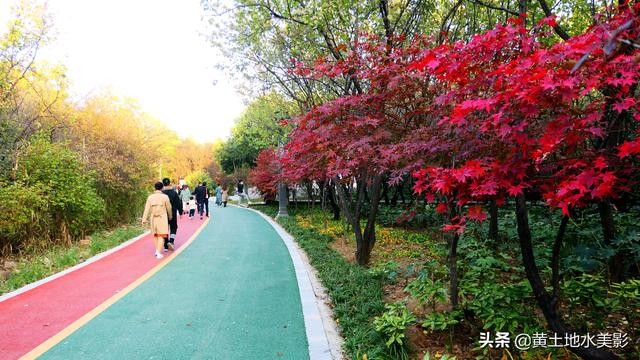 免费游览这个占地近千亩，水禽动物千余只的城市游园，感觉甚好