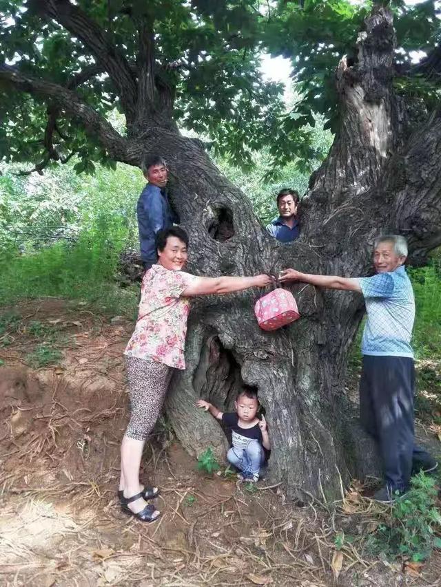 菜吧：一个新农人的坚守｜有机不神秘，有机不复杂