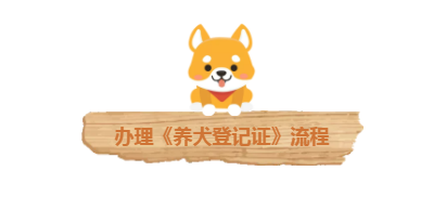 成都人！16日起开始收容禁养犬，一文看懂养狗攻略