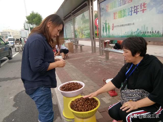 滨州阳信：小金蝉“爬”遍大半个中国