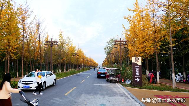 免费游览这个占地近千亩，水禽动物千余只的城市游园，感觉甚好