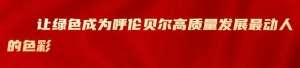 山西西门塔尔牛养殖(记者@您丨西门塔尔改良牛养殖，让牛犊身价翻倍)