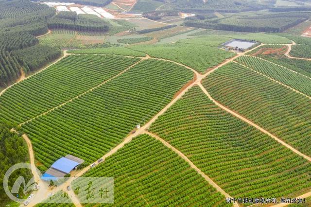 “按照总书记的嘱托，继续与全村人民共同奋斗”——习近平总书记在全国脱贫攻坚总结表彰大会上的重要讲话在首府南宁引起热烈反响