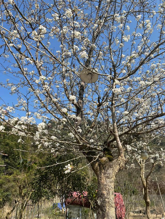 农场建设日记 找到一个梦想中的仙田农场