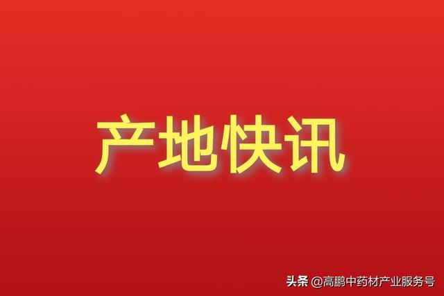 2021年12月8日全国各产地药材收购价格行情