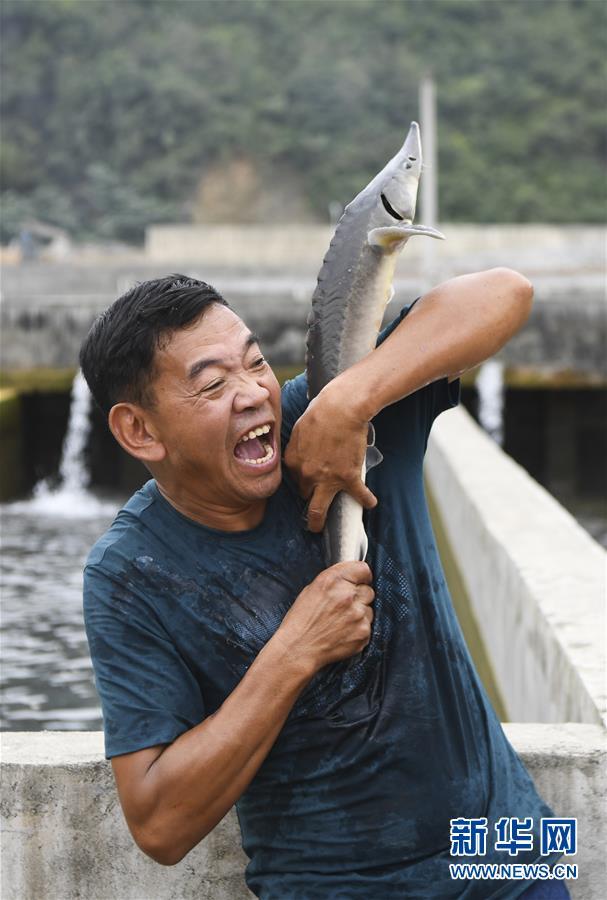 蒋开均：冷水鱼养出重庆山区“热经济”