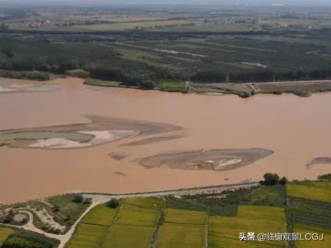 黄河边上种大米，这事儿一点不稀奇！河南段：岸边也养大鲤鱼