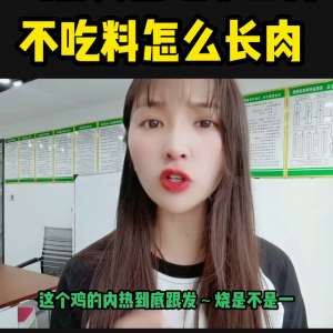 肉鸡养殖技术视频下载(你遇到过鸡吃不上料的问题吗？#抖音养鸡人)