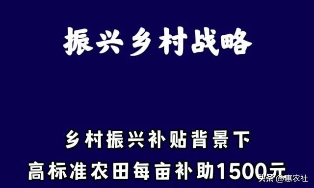 2023年高标准建设农田补贴多少钱一亩？哪些人可领取？一文解读！