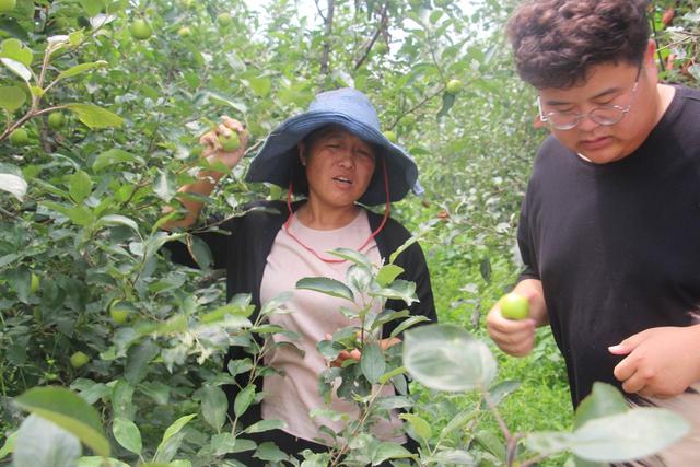 莱州农户种养结合 让自家的肥水不流外人田