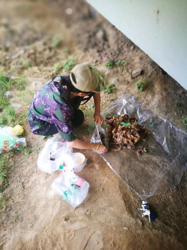 郑州女子6年风雨无阻喂养流浪猫狗，每天花4小时跑20多个地方喂食