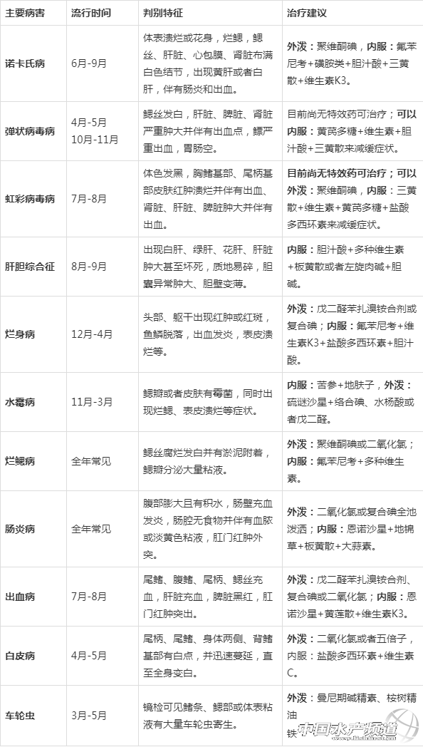 加州鲈全程饲料养殖可行吗？其技术要点有哪些？