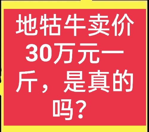 地牯牛一斤卖三十万元，是真的吗？哪里有人收？无保留的分享出来