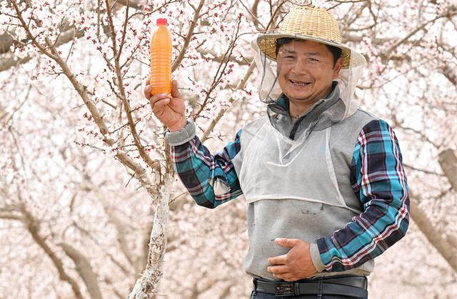 新疆巴州：花开蜂农致富忙