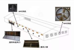 最新式蛋鸡养殖鸡舍图(「收藏」较短的鸡舍在通风设计图分享)