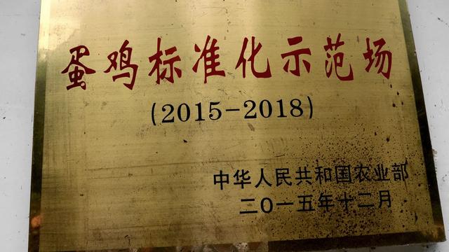 南充市胜百金蛋鸡养殖农民专业合作社扶贫典范