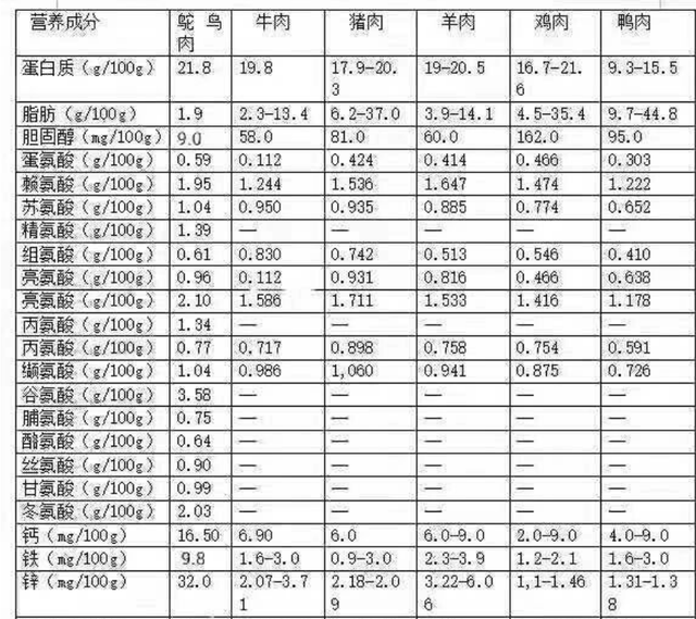 国外极度风靡，三年就能赚200万的鸵鸟，三大因素决定很少有人养