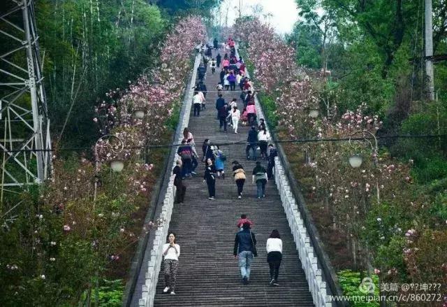 大美绥江∥竹海新城 山水绥江欢迎您！