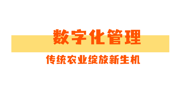 膏多、肉香……肇庆这个地方盛产的罗氏沼虾，你尝过吗？