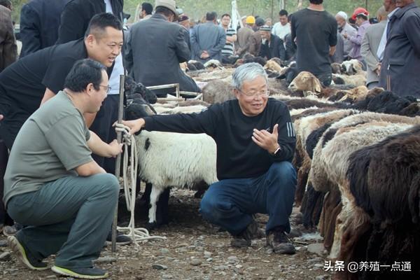 罗玉柱，甘肃农业大学教授、博导，草食动物遗传育种专家