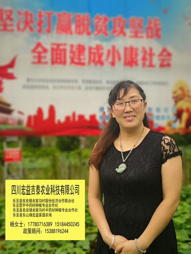 小小瓜蒌，遍地茱萸——一个IT女老板的农业梦