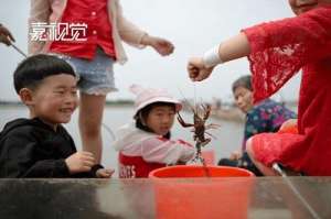 嘉兴哪里有龙虾养殖场(浙江省嘉兴市：水美龙虾肥海盐这场比赛为稻田龙虾文化节预热)