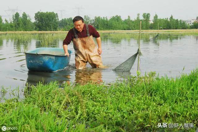 螃蟹养殖大数据——高温季节的pH值过高，不适宜养殖螃蟹？未必