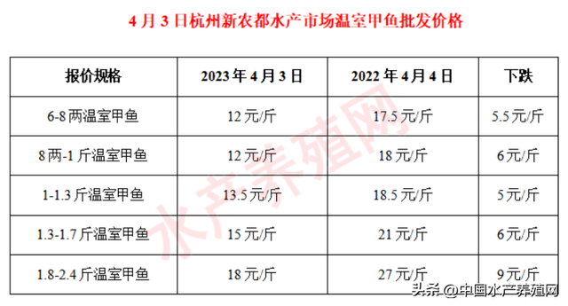 去年1亩狂赚50万，今年亏20万？连续跌价6个月，今年甲鱼会爆雷吗