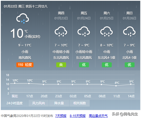 春节过年家中无人，乌龟该怎么处理才好？别着急，这篇文章有答案