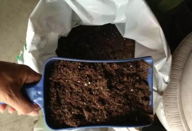 多年反复试验得到的多肉植物盆栽土壤配方，再不怕把多肉养死