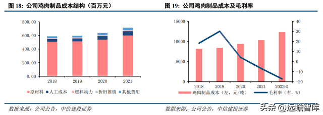 专注白鸡养殖，民和股份：景气上行，商品代雏鸡业务蓄势待发