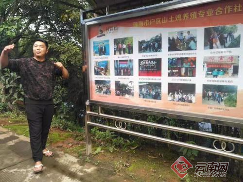 12万羽“村官鸡”助力云南瑞丽勐秀乡建档立卡户摘掉贫困帽